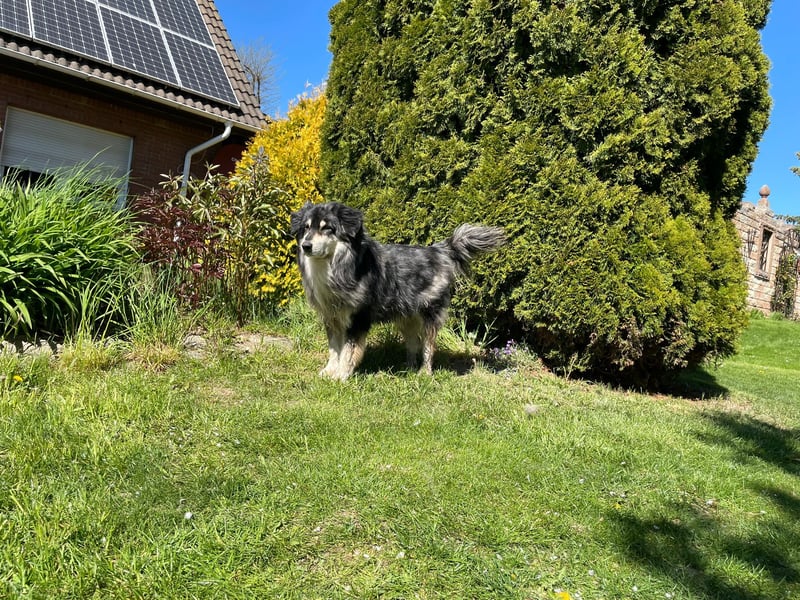 Gemütliche Emma