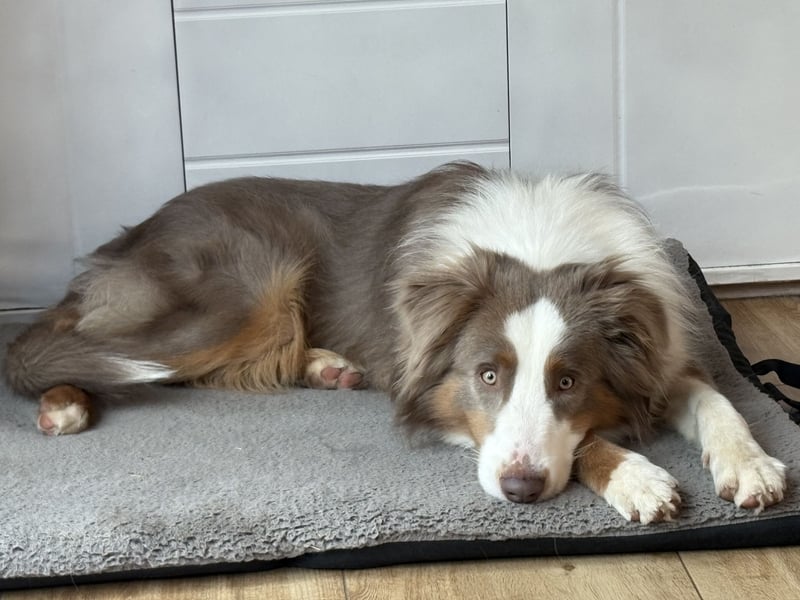 Lui sucht seine Familie