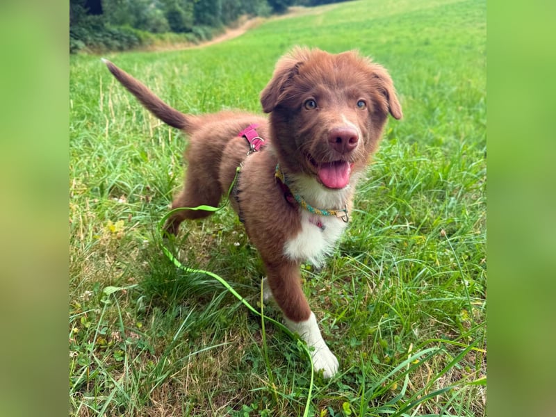 Selbstbewusster Romeo mit Potential wartet in 57627 Marzhausen.