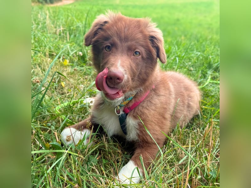 Selbstbewusster Romeo mit Potential wartet in 57627 Marzhausen.