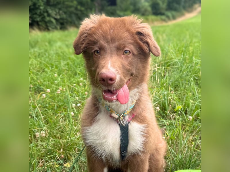 Selbstbewusster Romeo mit Potential wartet in 57627 Marzhausen.