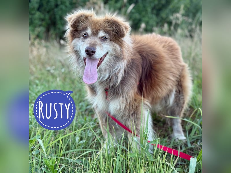 Rusty ein Freund fürs Leben
