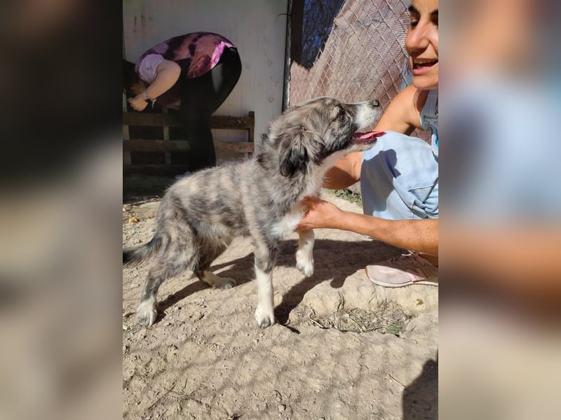 Kobú, ein zauberhafter kleiner Bub