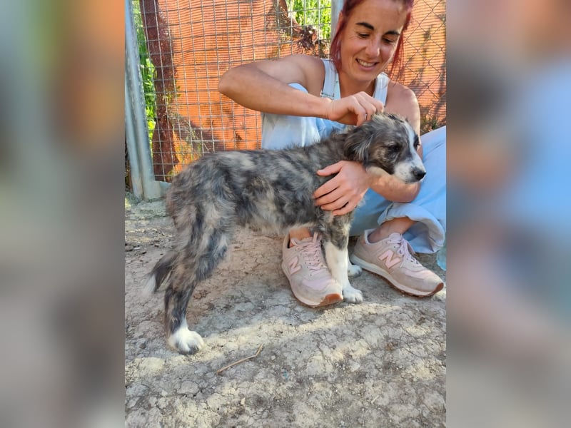 Kobú, ein zauberhafter kleiner Bub