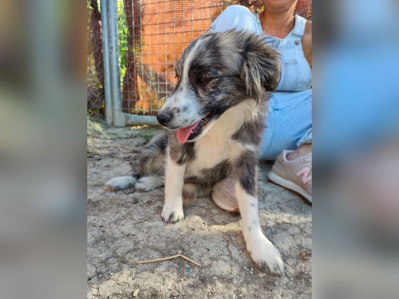 Kobú, ein zauberhafter kleiner Bub