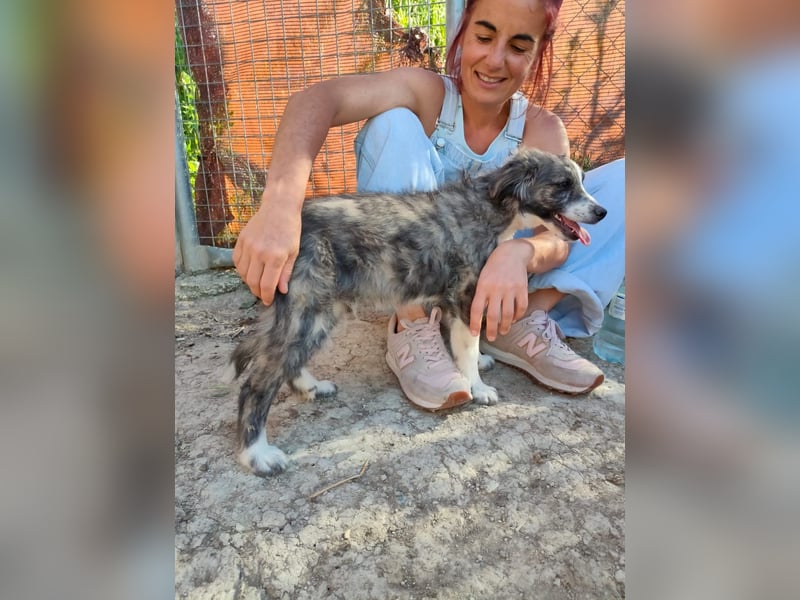Kobú, ein zauberhafter kleiner Bub