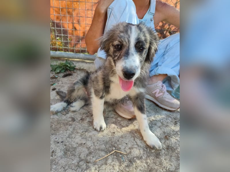 Kobú, ein zauberhafter kleiner Bub