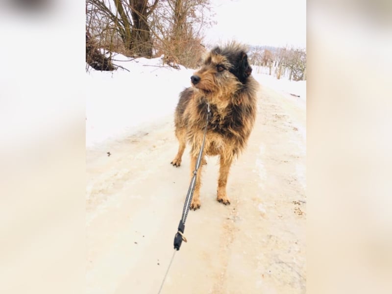 Mila - sportliche Leute aufgepasst!