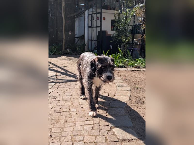 Alani ❤️ wartet in 90530 Wendelstein auf dich