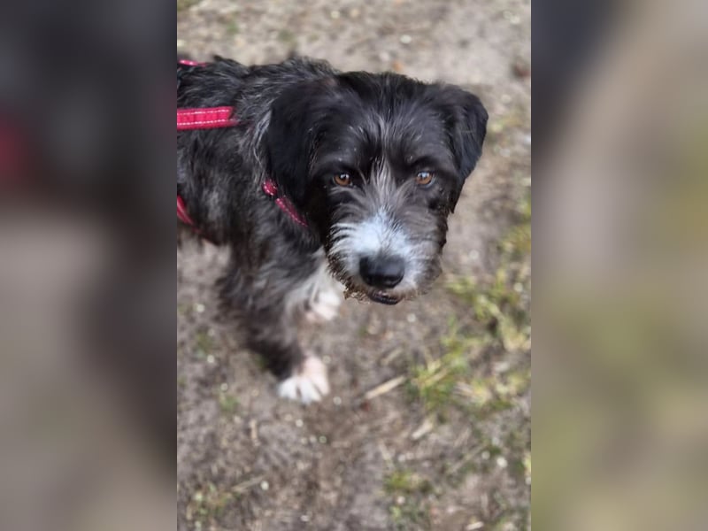 Alani ❤️ wartet in 90530 Wendelstein auf dich
