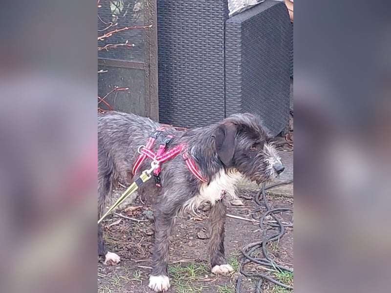 Alani ❤️ wartet in 90530 Wendelstein auf dich