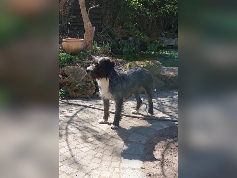 Alani ❤️ wartet in 90530 Wendelstein auf dich