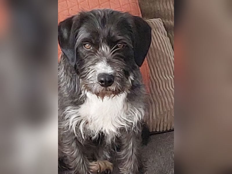 Alani ❤️ wartet in 90530 Wendelstein auf dich