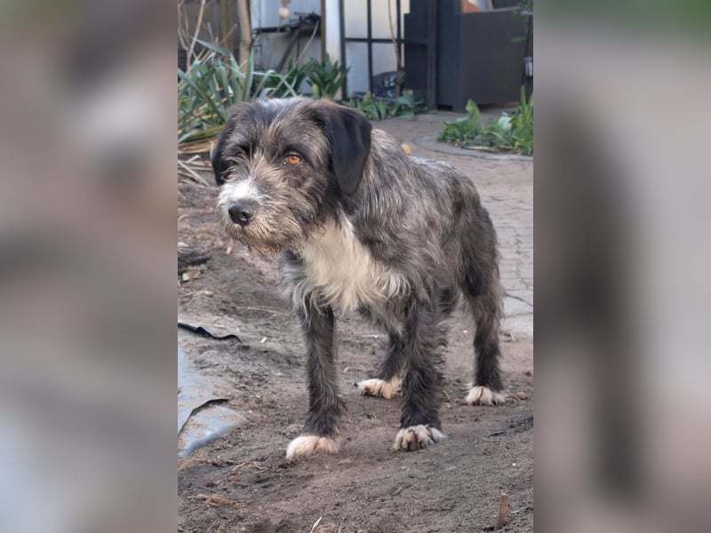 Alani ❤️ wartet in 90530 Wendelstein auf dich