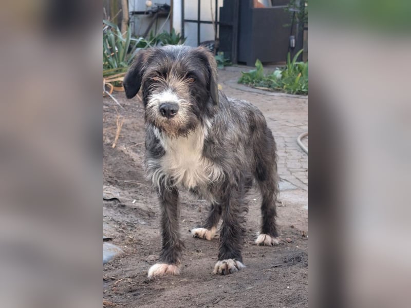 Alani ❤️ wartet in 90530 Wendelstein auf dich