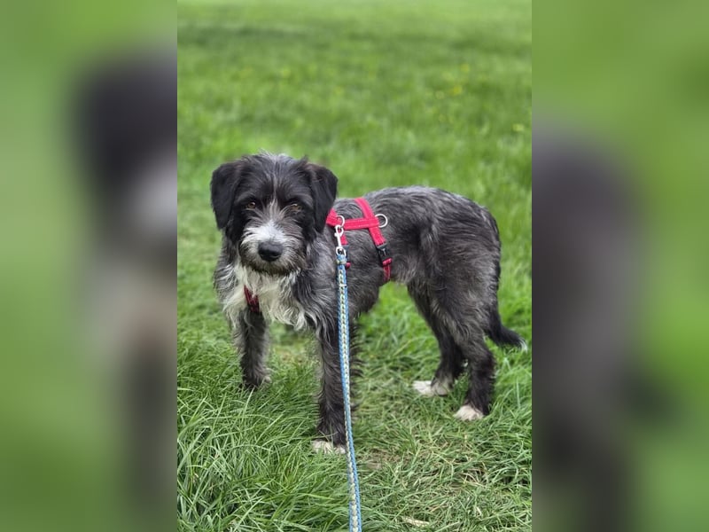 Alani ❤️ wartet in 90530 Wendelstein auf dich
