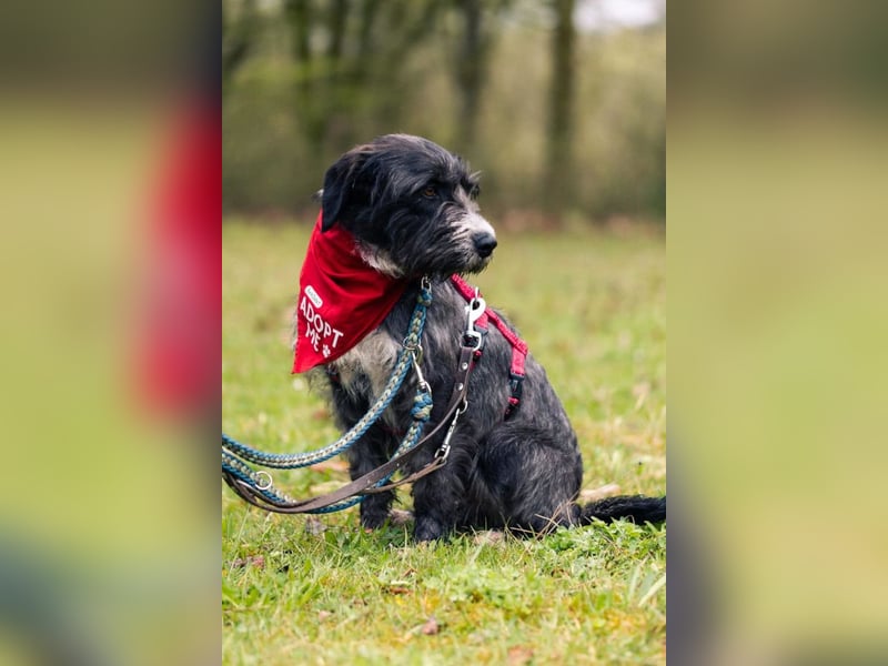 Alani ❤️ wartet in 90530 Wendelstein auf dich