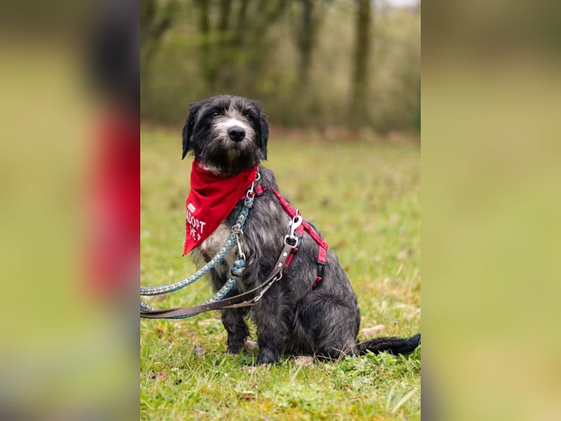 Alani ❤️ wartet in 90530 Wendelstein auf dich