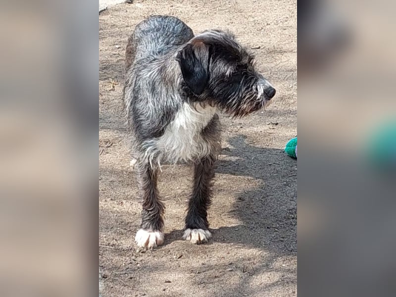 Alani ❤️ wartet in 90530 Wendelstein auf dich