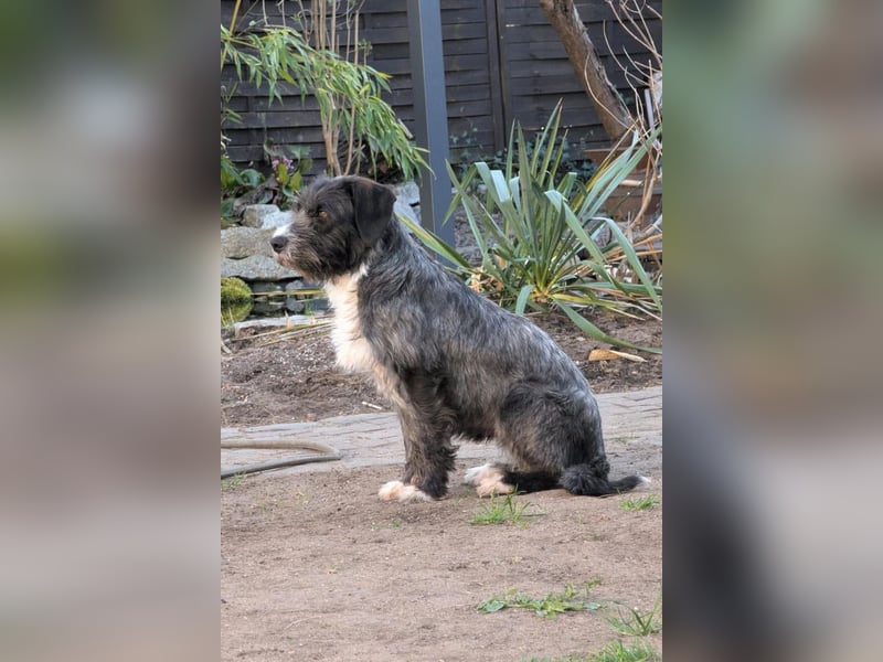 Alani ❤️ wartet in 90530 Wendelstein auf dich