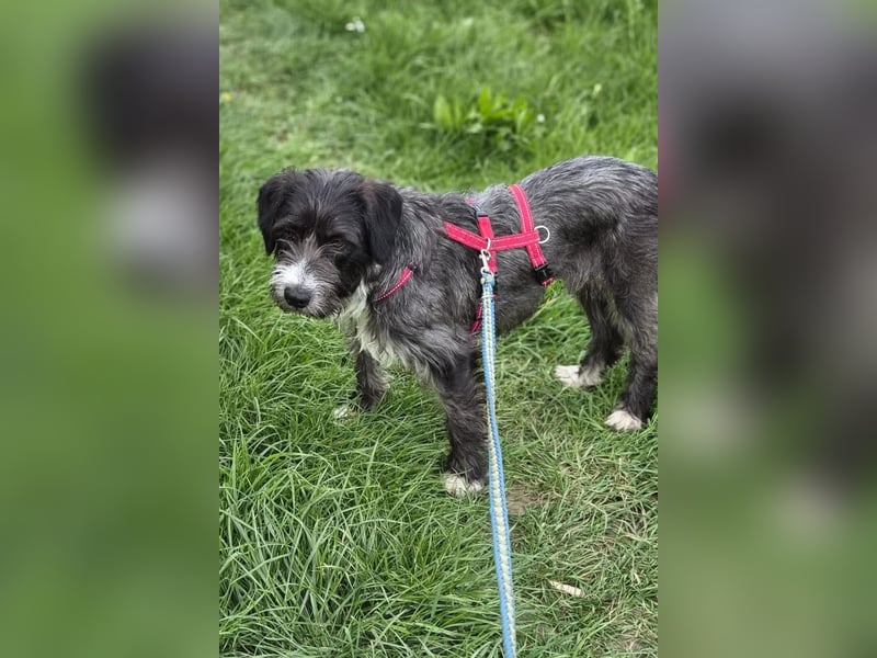 Alani ❤️ wartet in 90530 Wendelstein auf dich