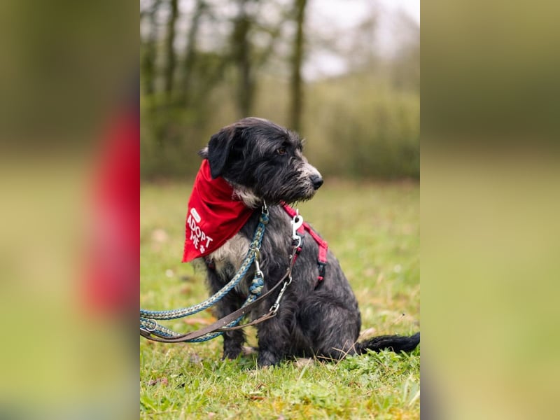 Alani ❤️ wartet in 90530 Wendelstein auf dich