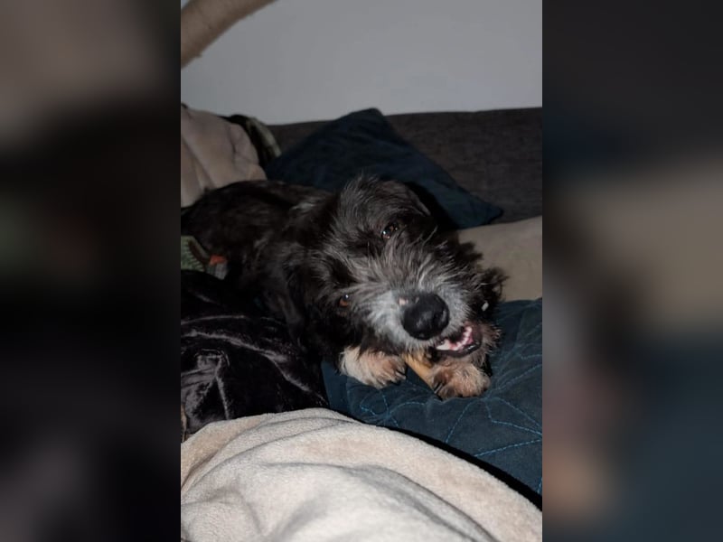 Alani ❤️ wartet in 90530 Wendelstein auf dich