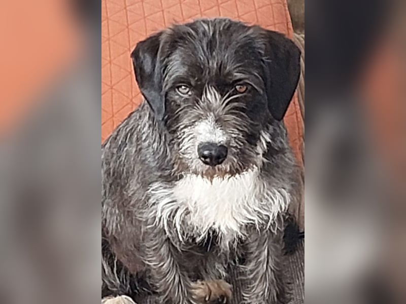 Alani ❤️ wartet in 90530 Wendelstein auf dich