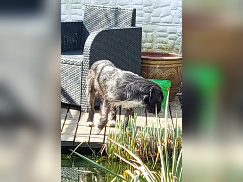 Alani ❤️ wartet in 90530 Wendelstein auf dich