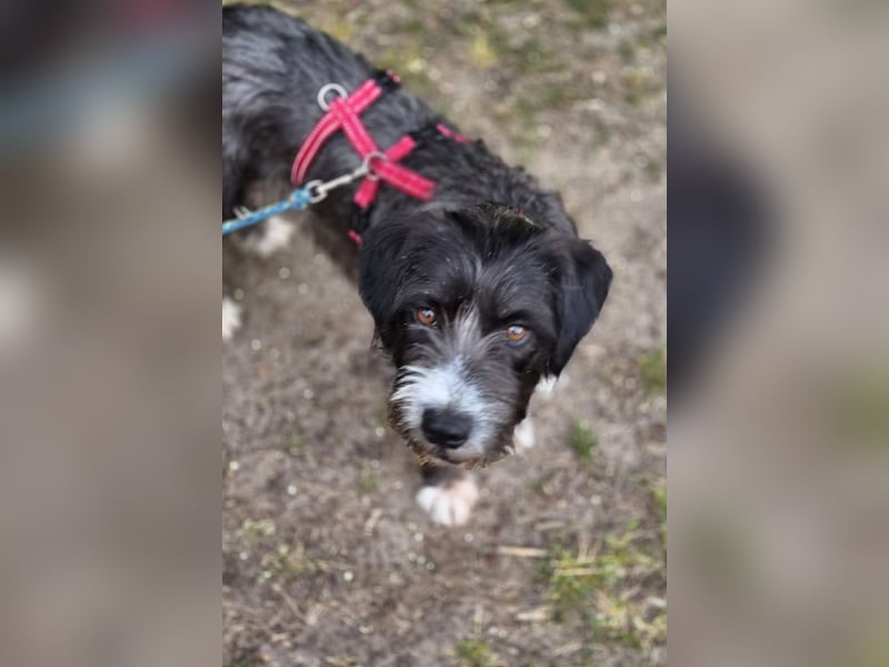Alani ❤️ wartet in 90530 Wendelstein auf dich