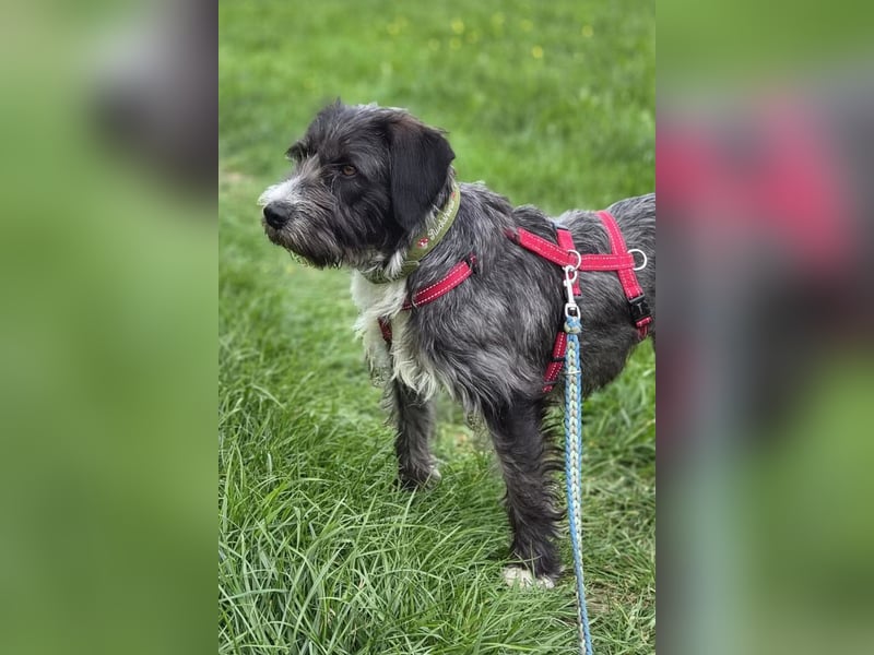 Alani ❤️ wartet in 90530 Wendelstein auf dich