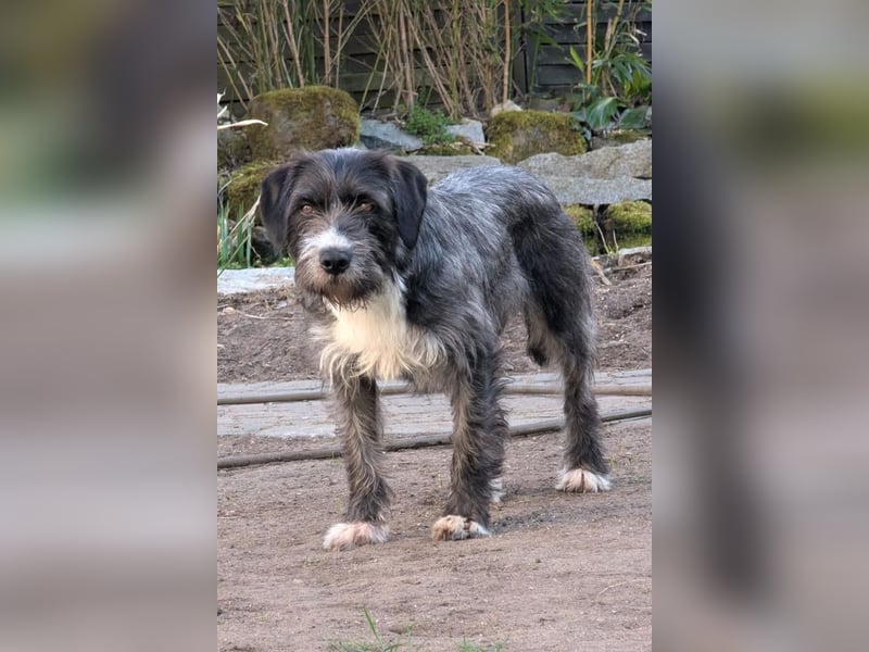 Alani ❤️ wartet in 90530 Wendelstein auf dich