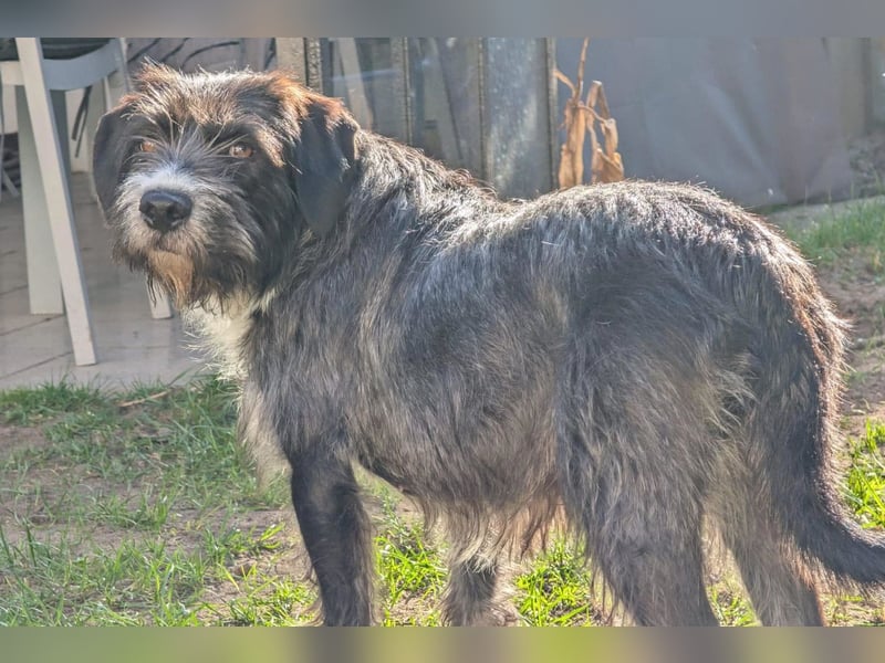 Alani ❤️ wartet in 90530 Wendelstein auf dich