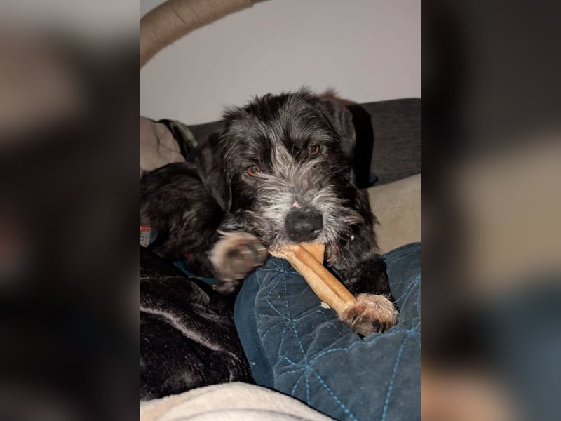 Alani ❤️ wartet in 90530 Wendelstein auf dich