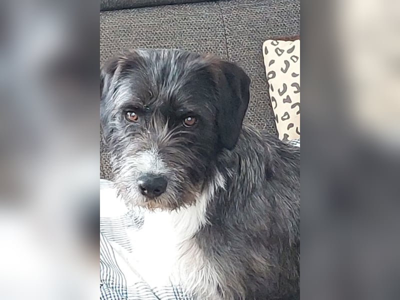 Alani ❤️ wartet in 90530 Wendelstein auf dich