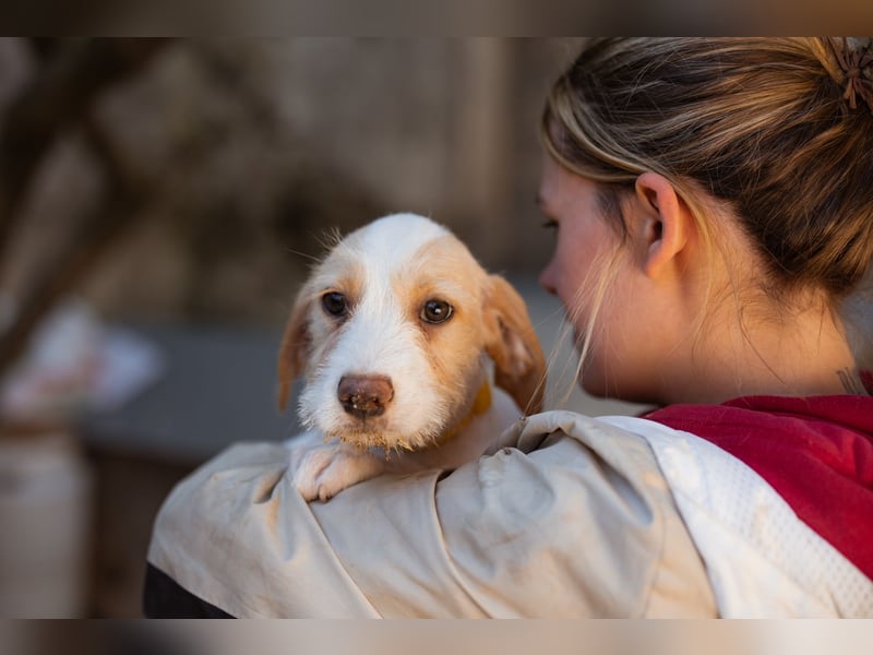 Zuckerschnute ARIA❤️liebt Abenteuer – und Kuscheleinheiten noch mehr! Zuckerschnute ARIA❤️liebt Abenteuer – und Kuscheleinheiten noch mehr!