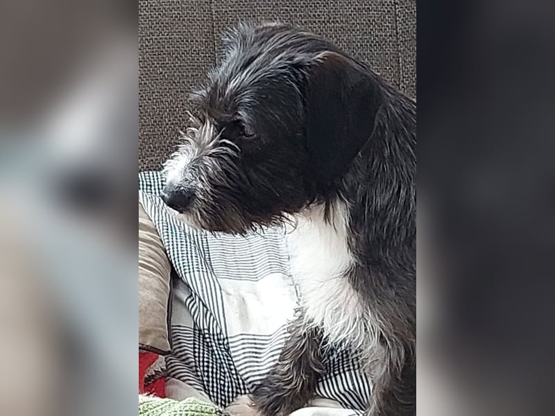 Alani ❤️ wartet in 90530 Wendelstein auf dich