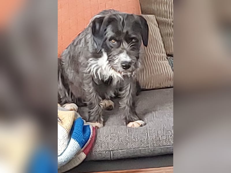 Alani ❤️ wartet in 90530 Wendelstein auf dich