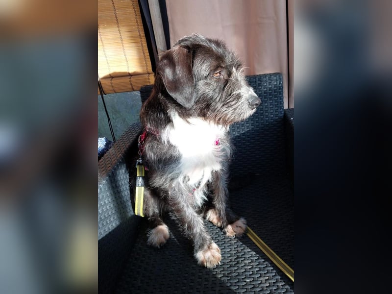 Alani ❤️ wartet in 90530 Wendelstein auf dich