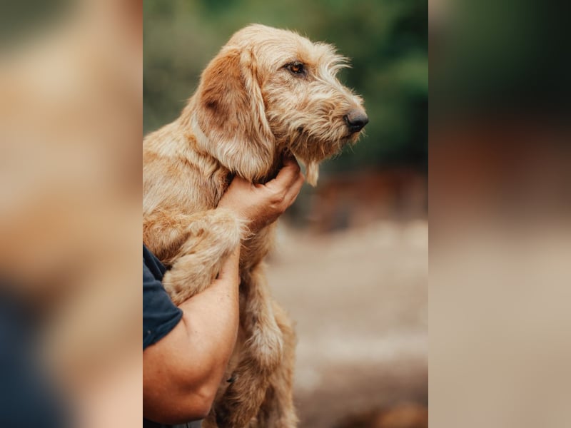 Schmusebacke Masha ❤️ so fröhlich, verspielt + lieb!