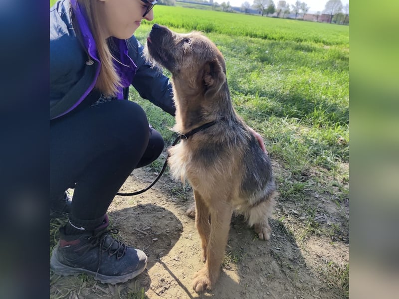 Taro ein absoluter Engel