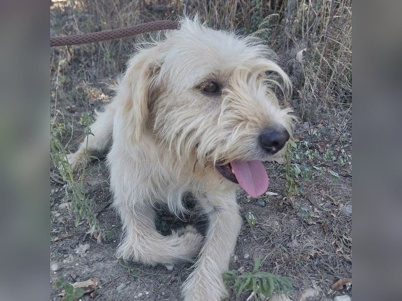 Moxy ein verlorener Schatz