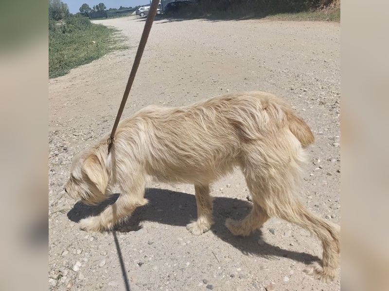 Moxy ein verlorener Schatz