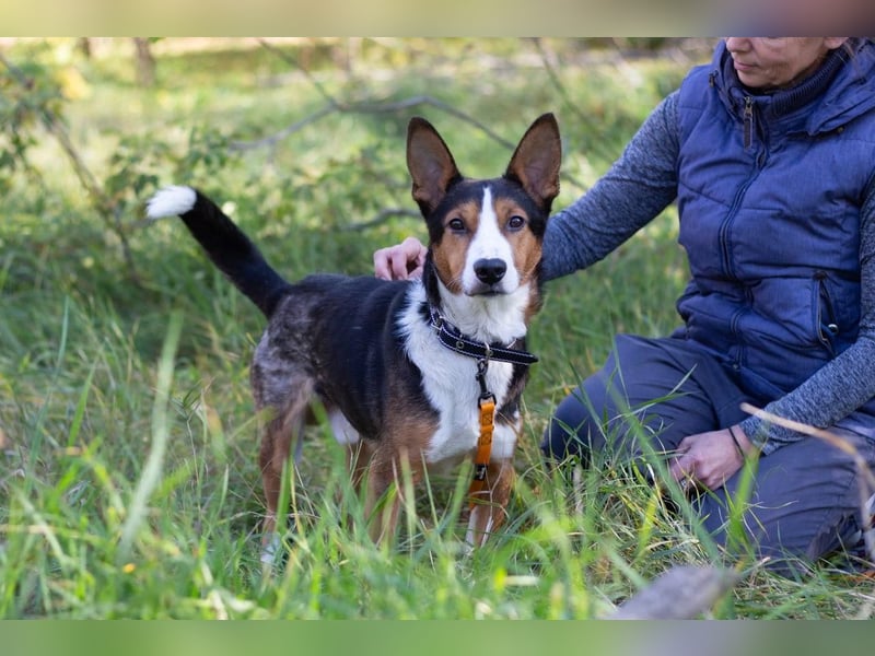 Nick - Bringt Farbe in jedes Leben (Ukraine)