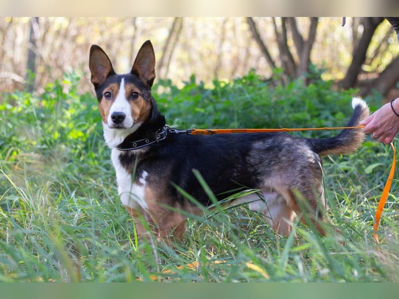 Nick - Bringt Farbe in jedes Leben (Ukraine)