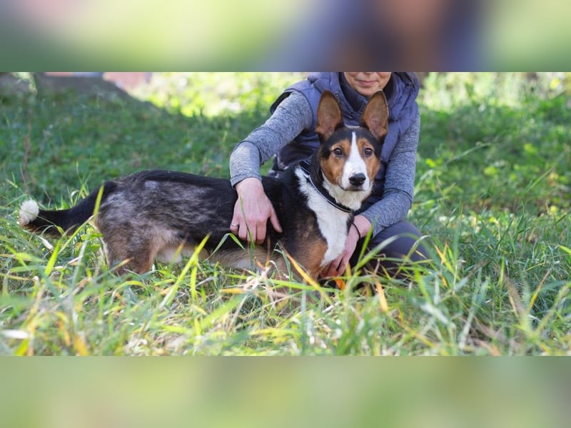 Nick - Bringt Farbe in jedes Leben (Ukraine)