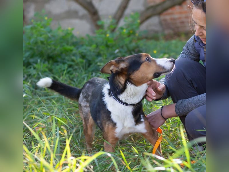 Nick - Bringt Farbe in jedes Leben (Ukraine)