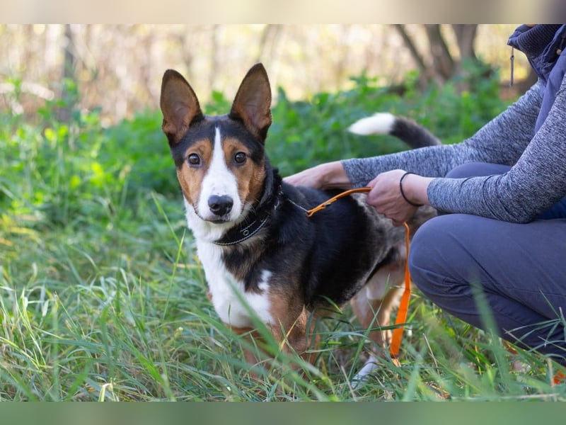 Nick - Bringt Farbe in jedes Leben (Ukraine)