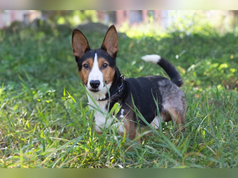 Nick - Bringt Farbe in jedes Leben (Ukraine)