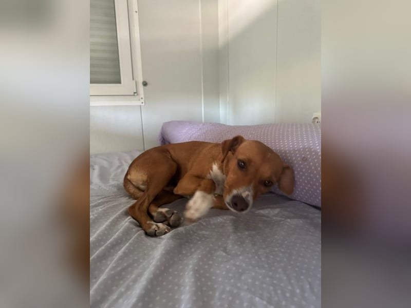 Rafa, ein leiser Freund mit großem Herzen